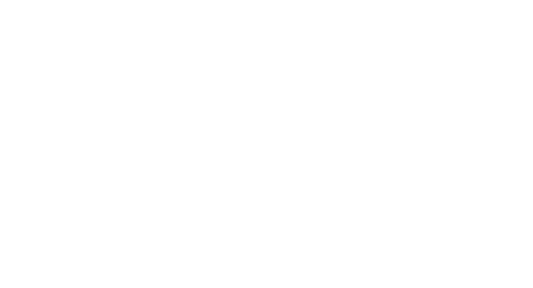 Official Selection, Cinequest