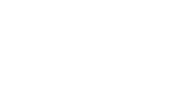 Official Selection, Hawai‘i International Film Festival